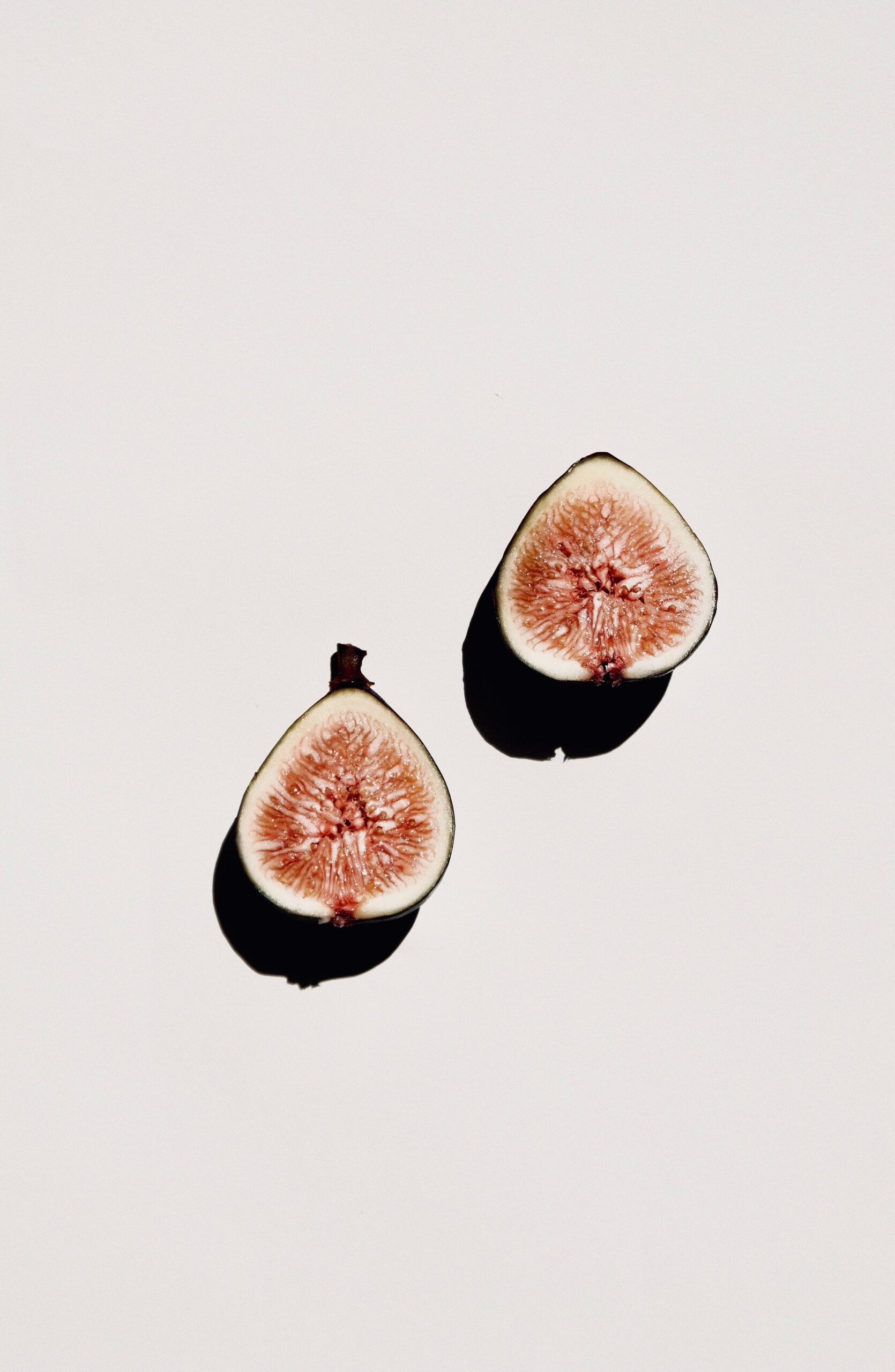 jocelyn-morales-3LsZ6TkP3RE-unsplash