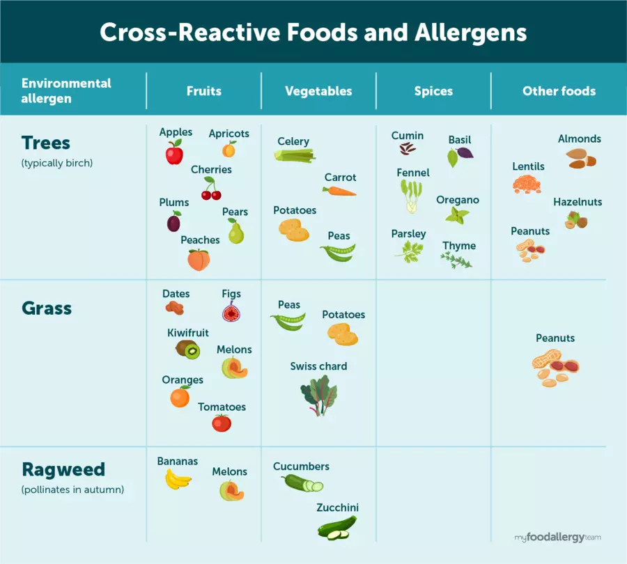 reacții încrucișate alergii