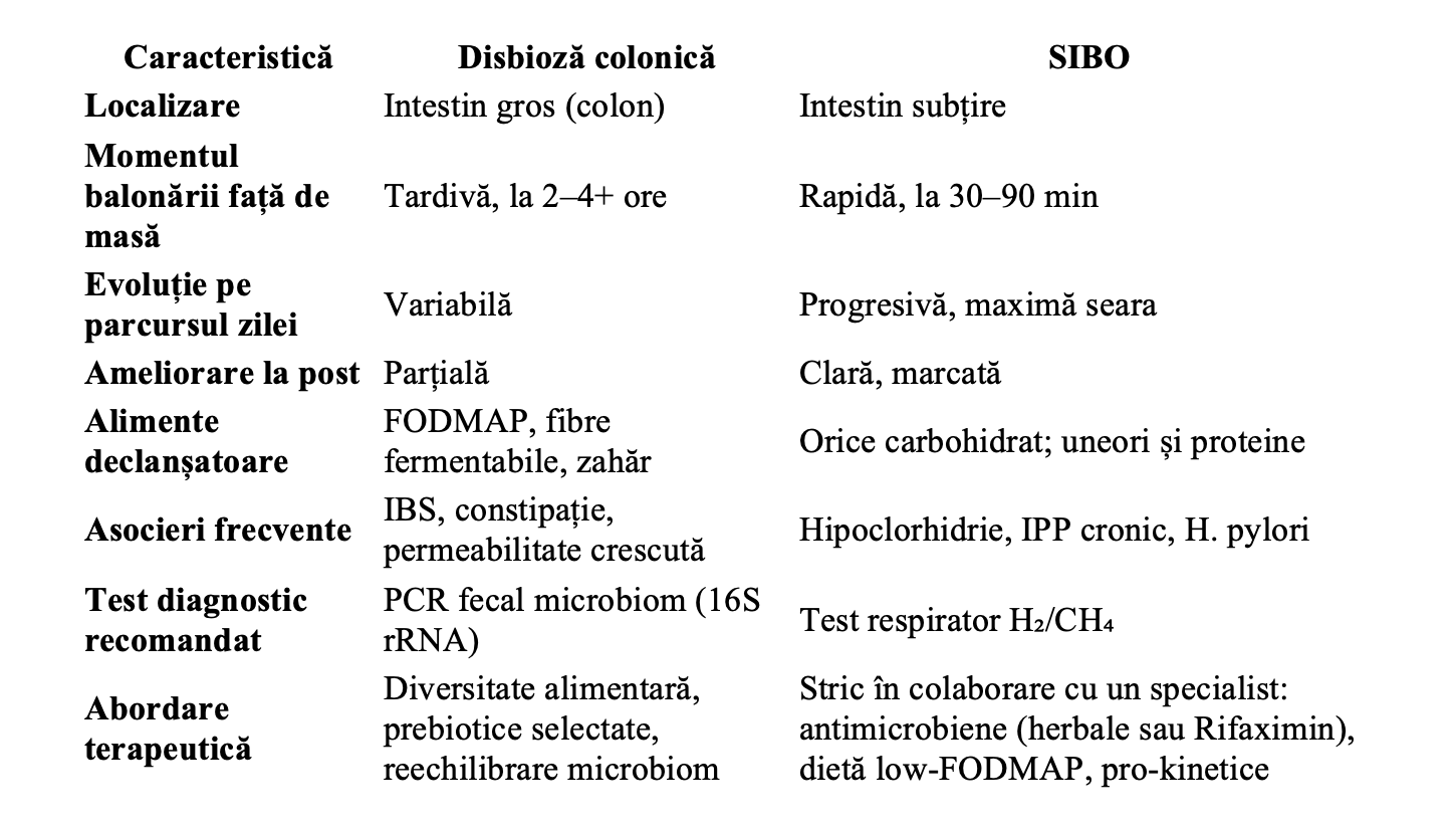 sibo vs disbioza Mihaela Brailescu balonare Mihaela Brailescu